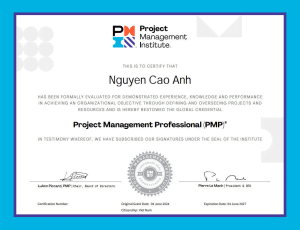 Nguyễn Cao Anh PMP